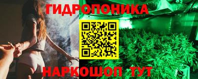 a pvp Краснознаменск