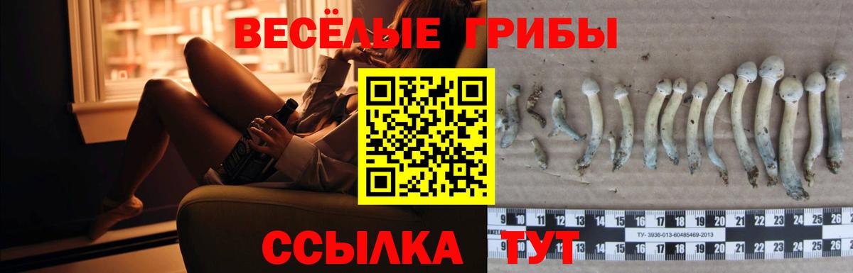 Псилоцибиновые грибы прущие грибы  Вход с VPN  что такое   Фурманов 